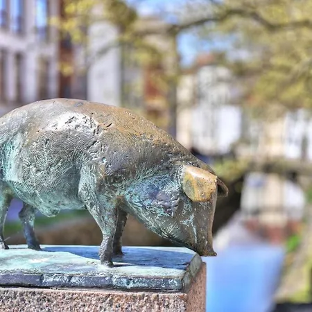 Ohlerich Speicher App_ 12 Wißmar